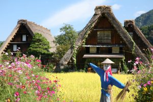 JOUR 5 maisons gassho-zukuri aux toits de chaume _Japon_circuit_plus_de_8_jours