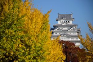 JOUR 9 himeli chateau_Japon_circuit_plus_de_8_jours