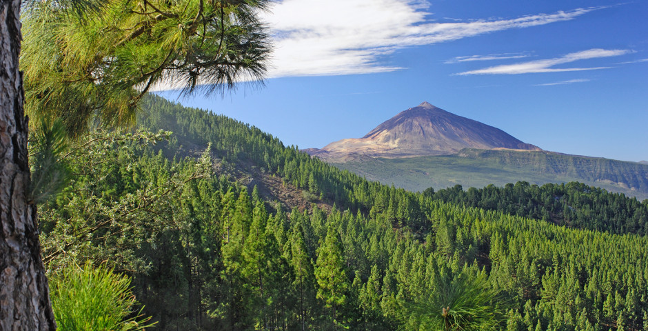 Voyage organisé Voyage groupe Voyage CE tenerife