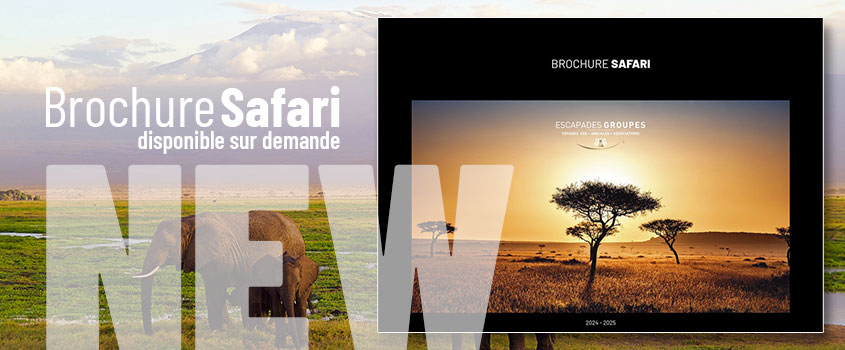 Brochure Safari