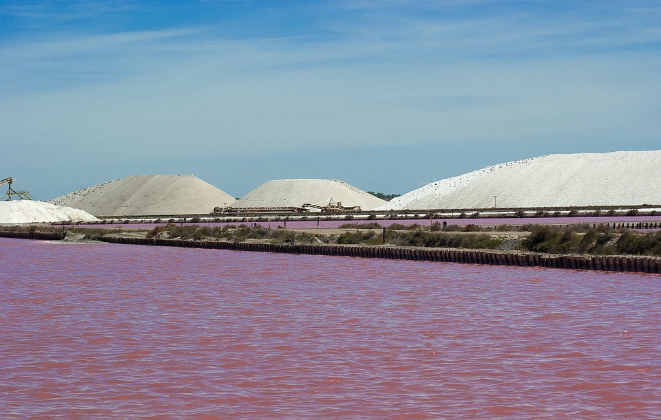 Camargue - JOUR-2-Salins-Aigue-M-Camargue.jpg
