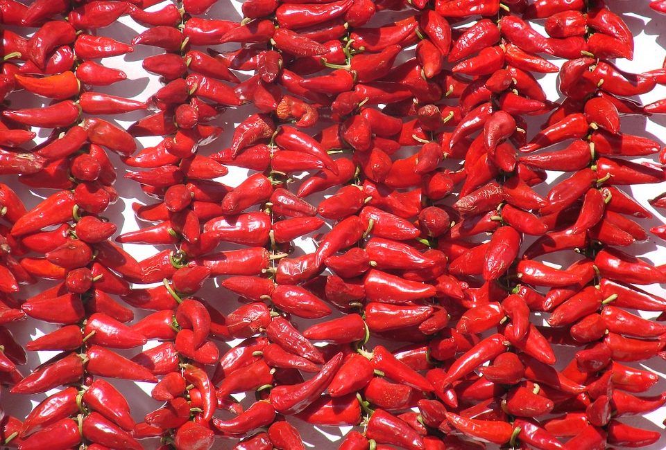 PaysBasque - JOUR-3-espelette-Pays-basque.jpg