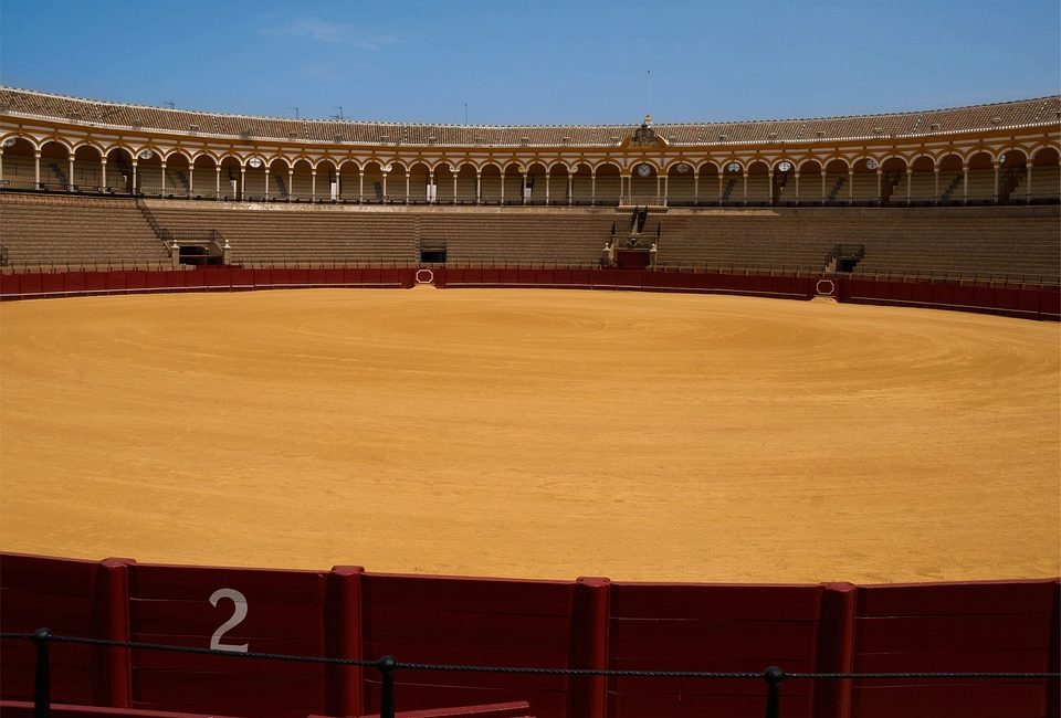 Seville - JOUR-4-aranes_Seville.jpg